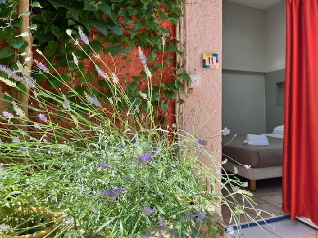 Hotel Le Colbert Avignon Eksteriør billede